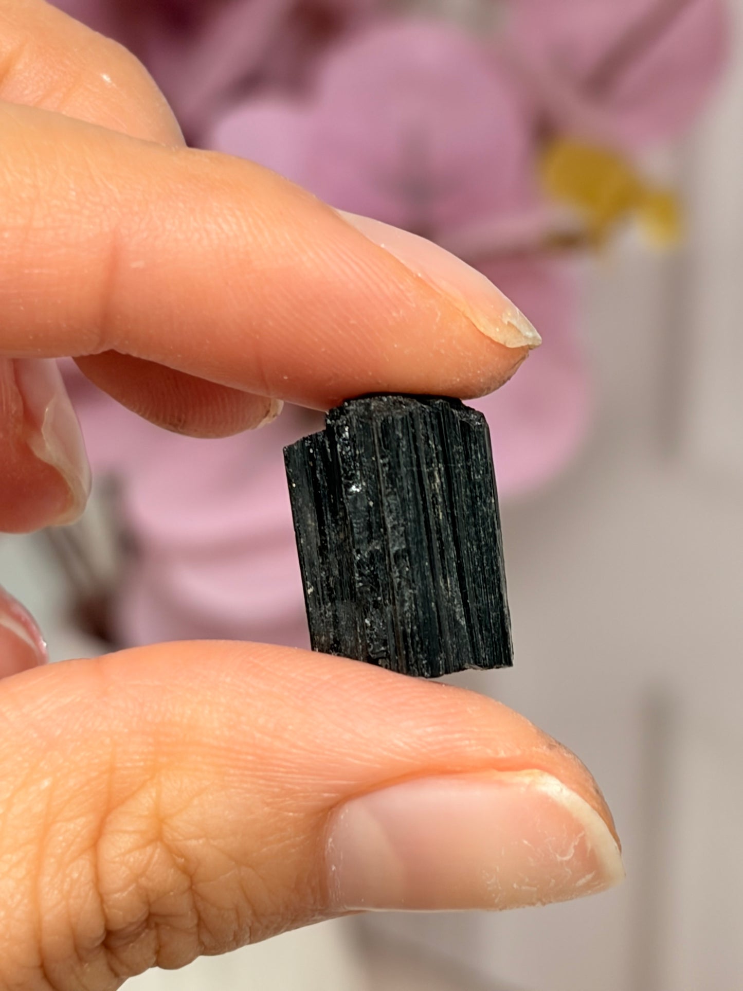 Turmalina Negra • Minerales en Bruto