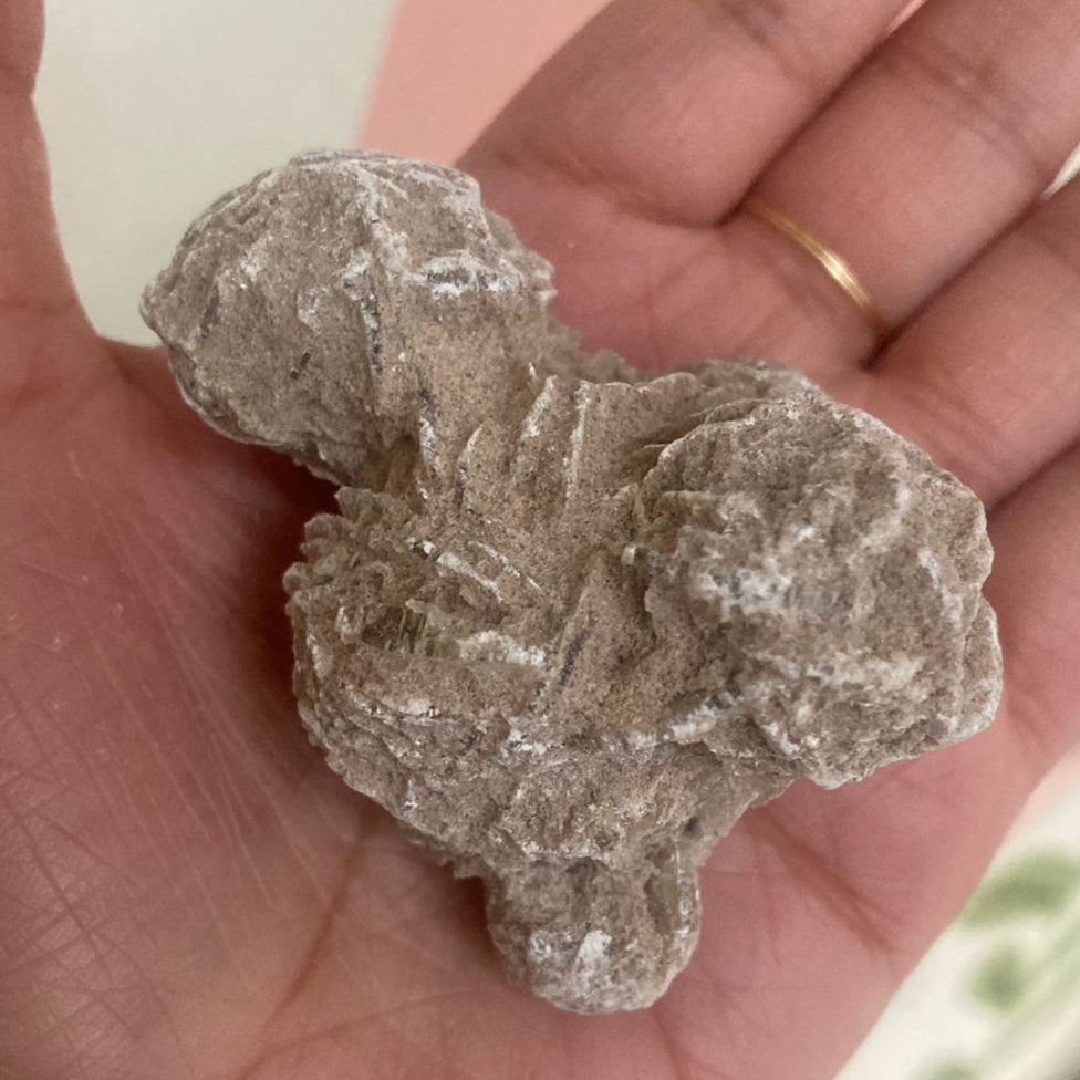 Rosa del Desierto en Bruto