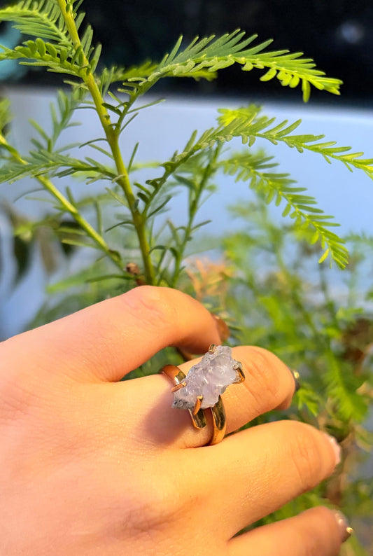 Anillo Garras Drusa de Amarista mini